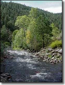 The Pecos River in Santa Fe National Forest