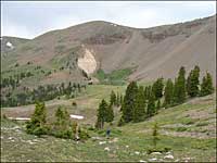 Bartlett Trail