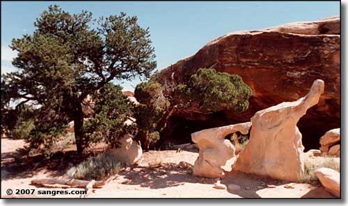 Rock formations at Natural Bridges National Monument