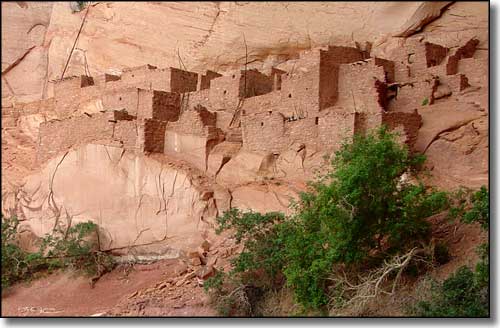 Betatakin Ruins, Navajo National Monument