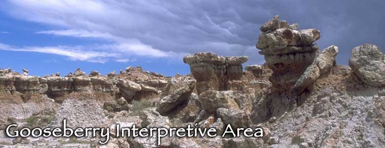 Gooseberry Interpretive Area, Wyoming