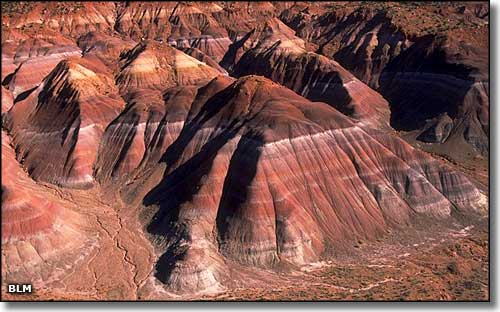 Chinle Formation in northern Arizona