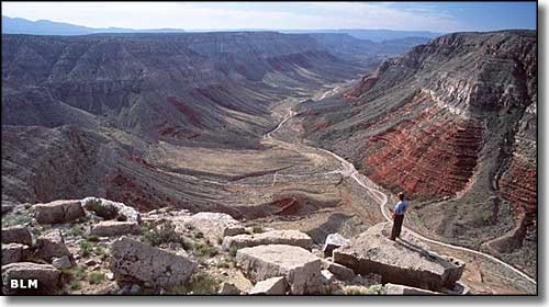 Grand Canyon Parashant National Monument