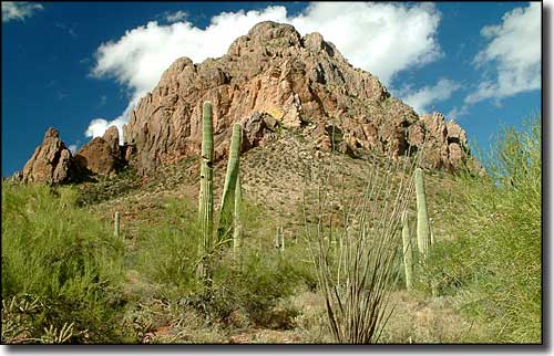 Sonoran Desert National Monument