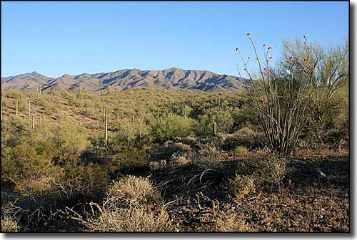 South Maricopa Mountains Wilderness
