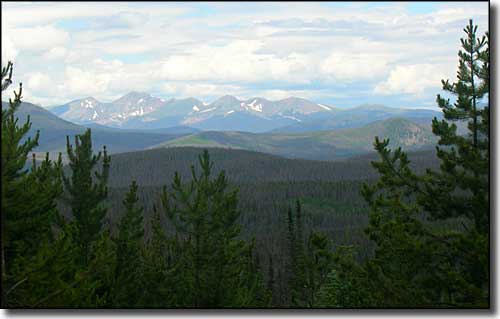 A typical view in Routt National Forest