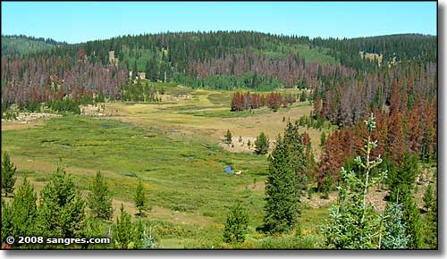 Routt National Forest