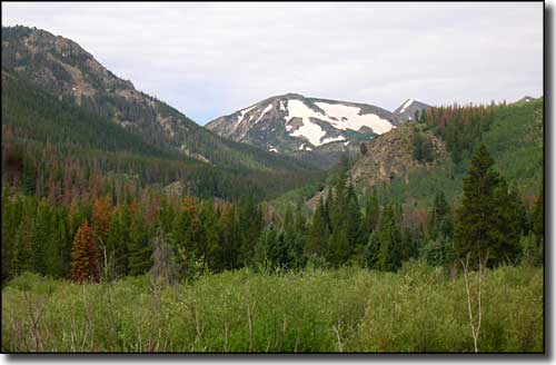 Looking up West Branch Valley