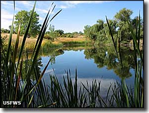 Two Ponds National Wildlife Refuge, Colorado