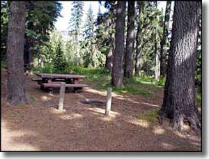 Orphan Point Saddle campsite next to Grandmother Mountain Wilderness Study Area