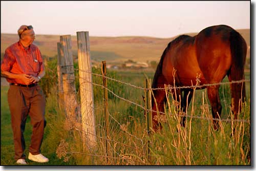 Watching a horse graze near Iona, Idaho