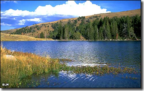 Axolotl Lakes Recreation Area, Montana
