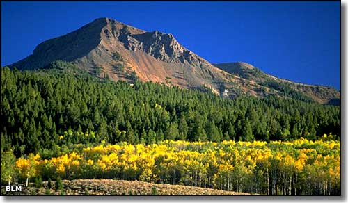 Centennial Mountains, Montana