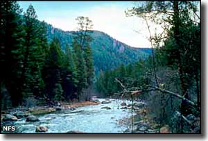 Welcome Creek Wilderness, Montana