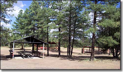 Coconino National Forest campground