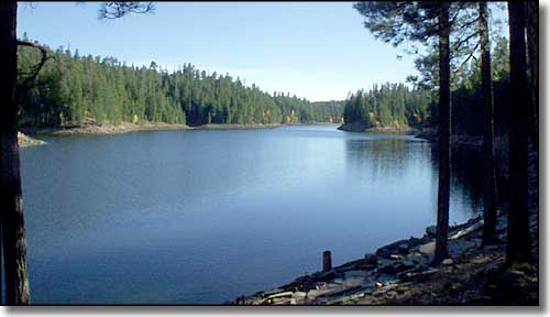 Knoll Lake, Coconino National Forest