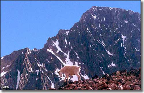 Granite Peak, highest point in Montana