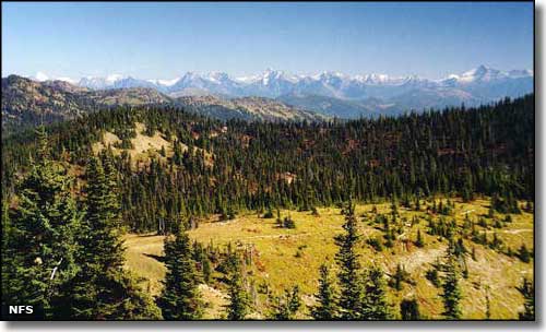 Flathead National Forest, Montana