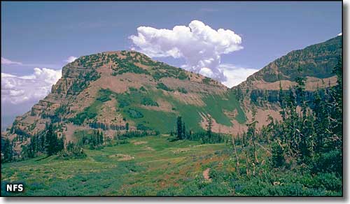 Mount Timpanogos Wilderness, Utah