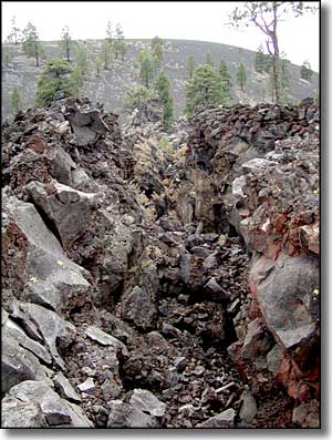 Typical terrain in the Strawberry Crater Wilderness
