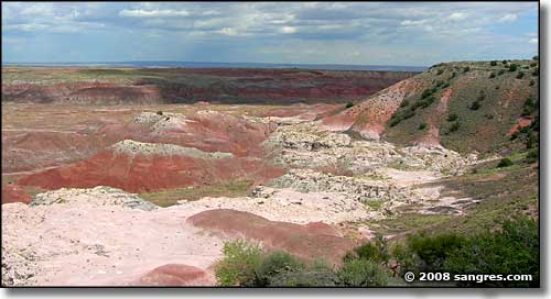 Petrified Forest National Wilderness Area