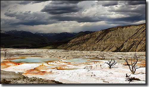 Upper Terraces of Mammoth Hot Springs in Yellowstone National Park