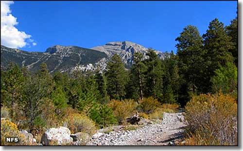 Mount Charleton Wilderness, Nevada