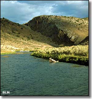 South Fork State Recreation Area, Nevada