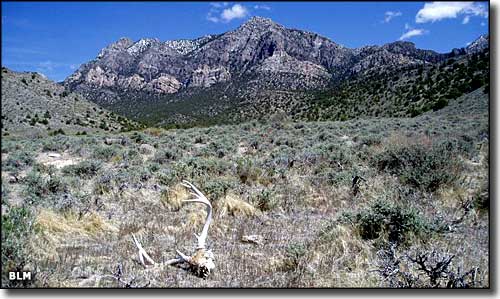 Far South Egans Wilderness, Nevada