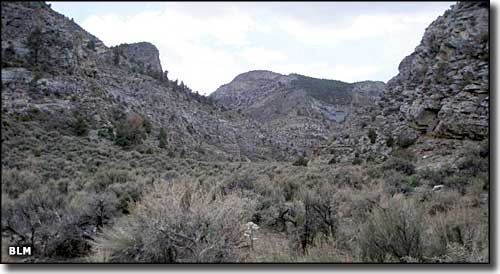 Mount Moriah Wilderness, Nevada
