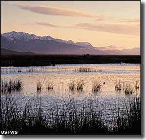 Ruby Lake National Wildlife Refuge at dawn