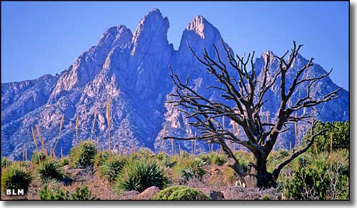 The Organ Mountains near Las Cruces