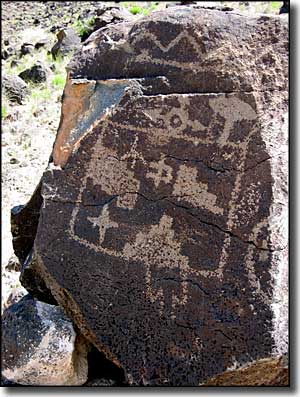 A petroglyph at Petroglyph National Monument