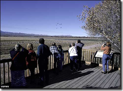 Birdwatchers at Bosque del Apache National Wildlife Refuge