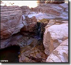 Cibola Falls at Sevilleta National Wildlife Refuge