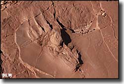 Fossilized footprint from Prehistoric Trackways National Monument