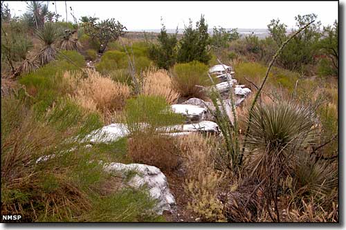 The Gypsum Hills Habitat exhibit at Living Desert Zoo and Gardens