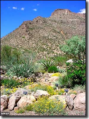 The Desert Garden at Oliver Lee Memorial State Park