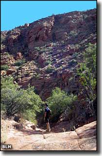 A hiker in Cottonwood Canyon Wilderness