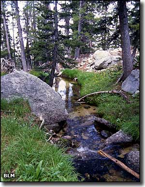 Deep Creek Mountains Wilderness Study Area, Utah