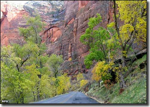 Along the Zion Park Scenic Byway in the fall