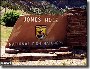 Entry sign at Jones Hole National Fish Hatchery