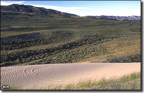 Kilpecker sand dune